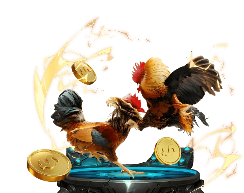 Hình ảnh mô tả quy trình đăng ký và đăng nhập tài khoản tic88